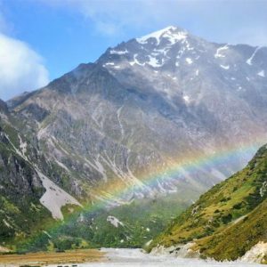 New Zealand Rainbow
