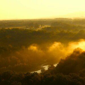 Ballooning