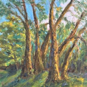 Weathered Trees.  Oil on linen panel