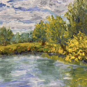 Forest Lakes View
